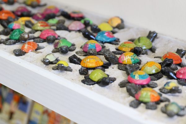 Don Caribe Souvenir Shop Exotic Curaçao Souvenirs