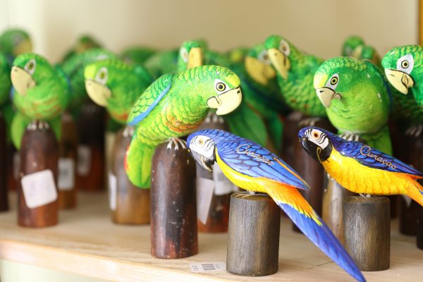 Exotic Curaçao Souvenirs